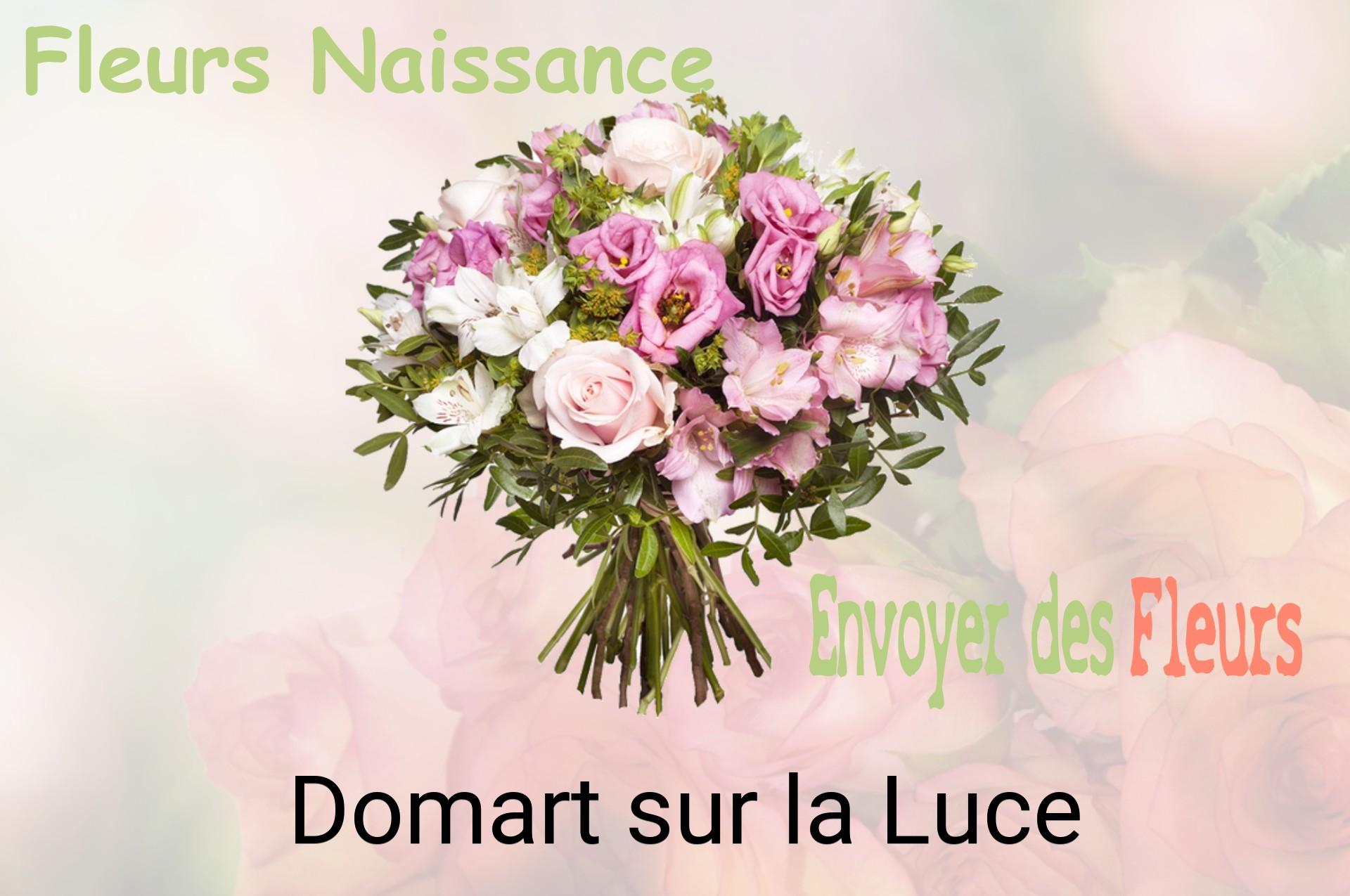 Bouquet de fleurs de naissance livré à Domart-sur-la-Luce