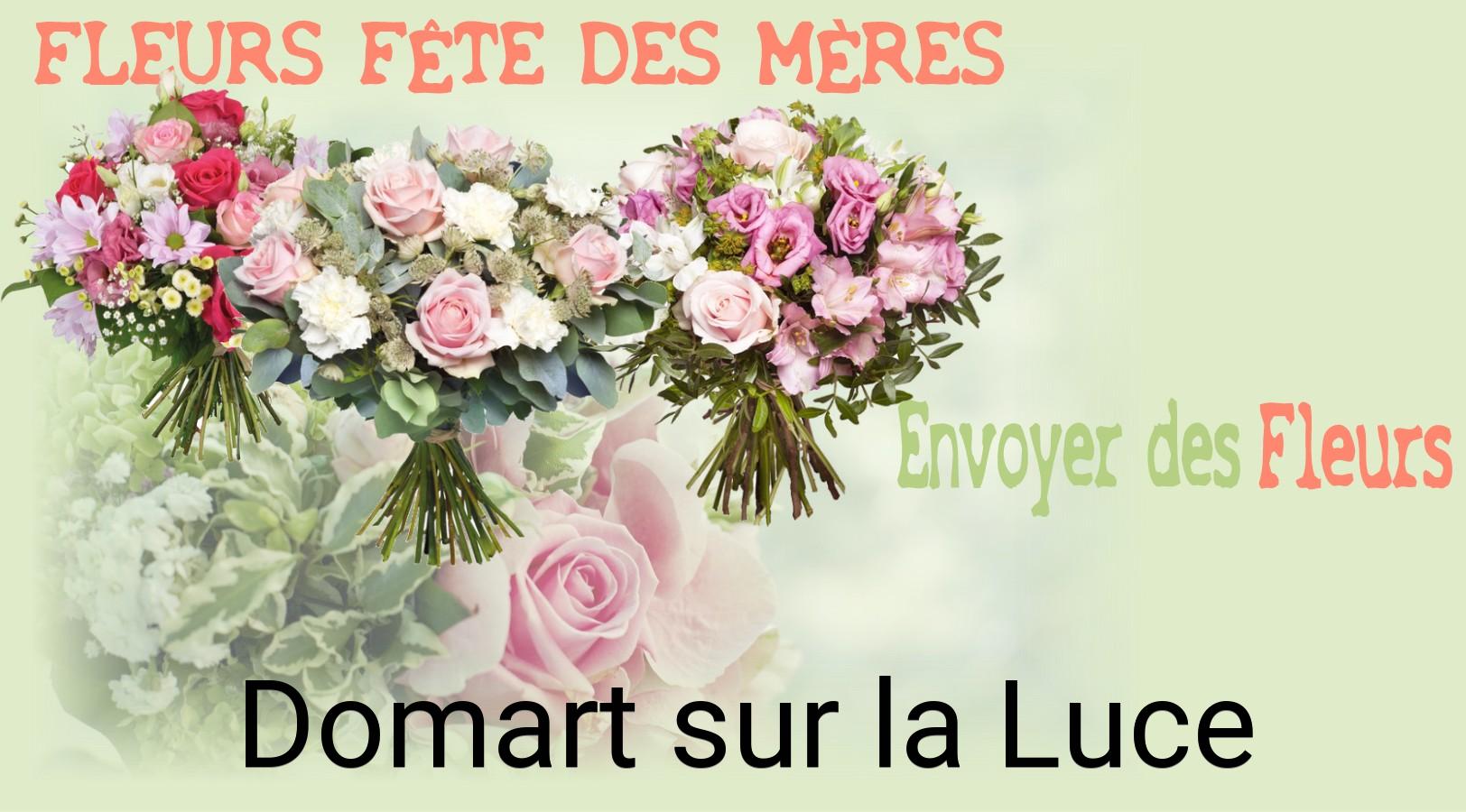 Bouquet de Fête des Mères livré à Domart-sur-la-Luce