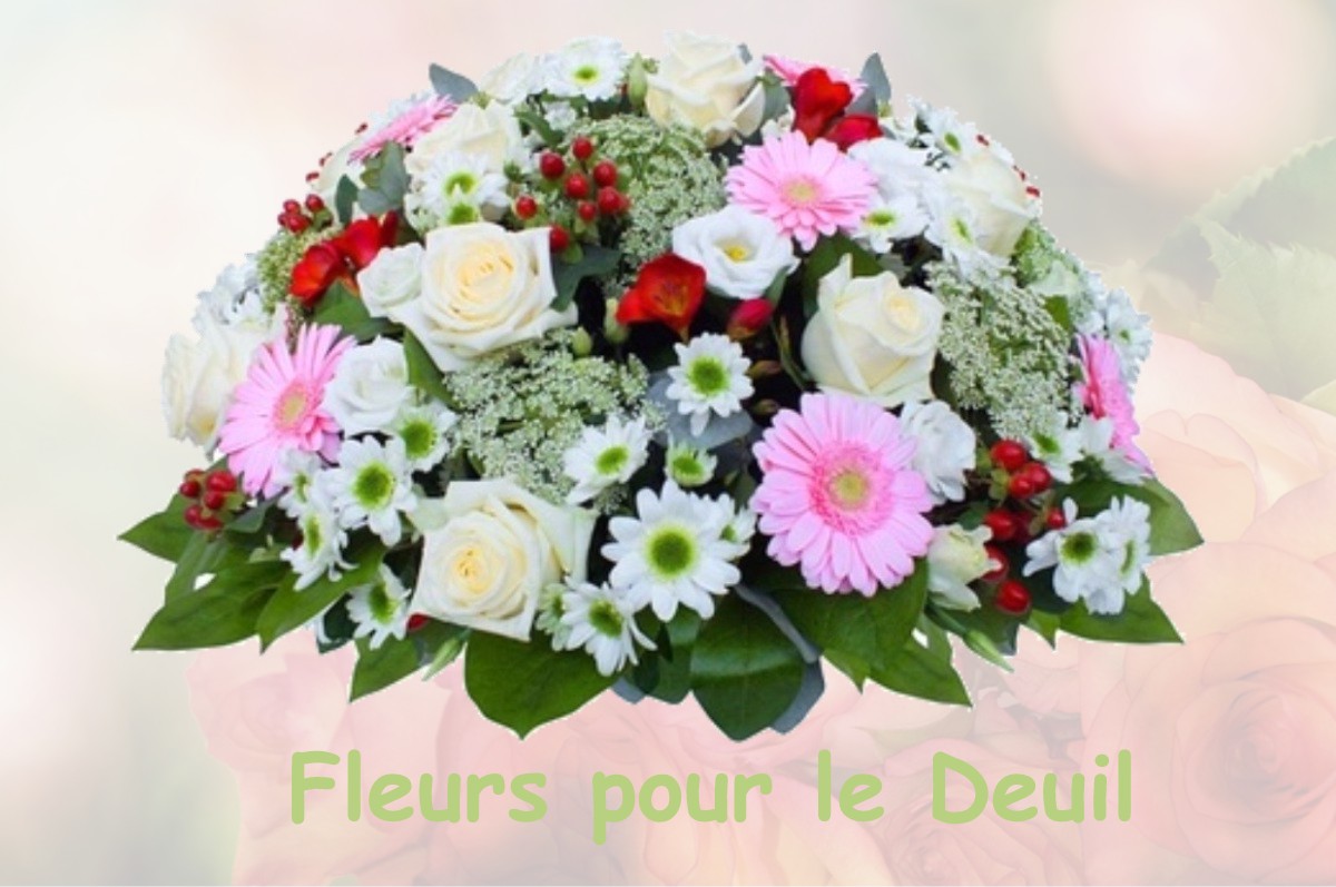 fleurs deuil DOMART-SUR-LA-LUCE